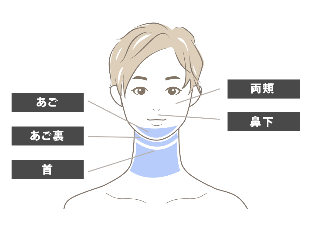 ヒゲ脱毛・顔脱毛部位